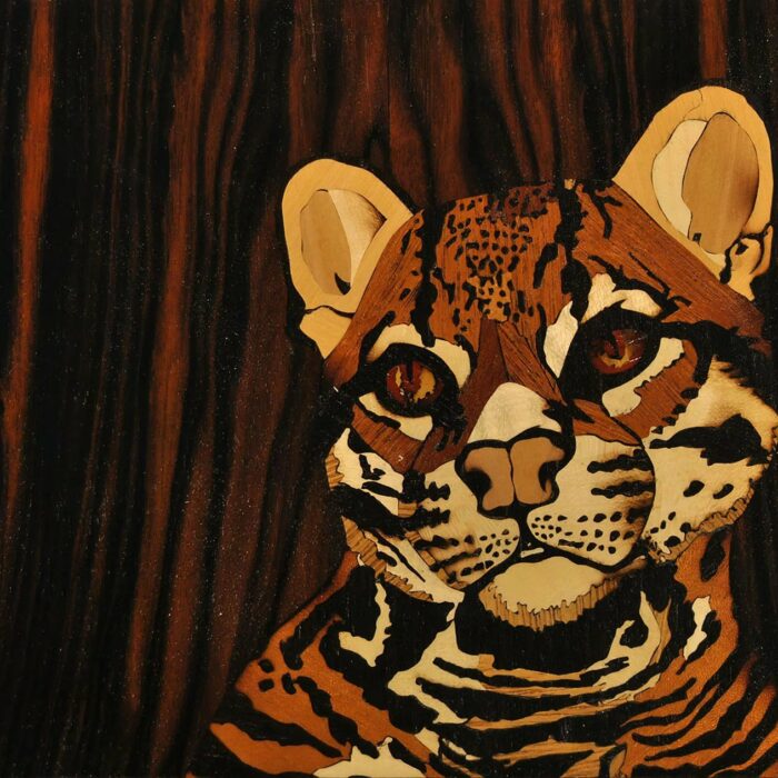 Ocelot
